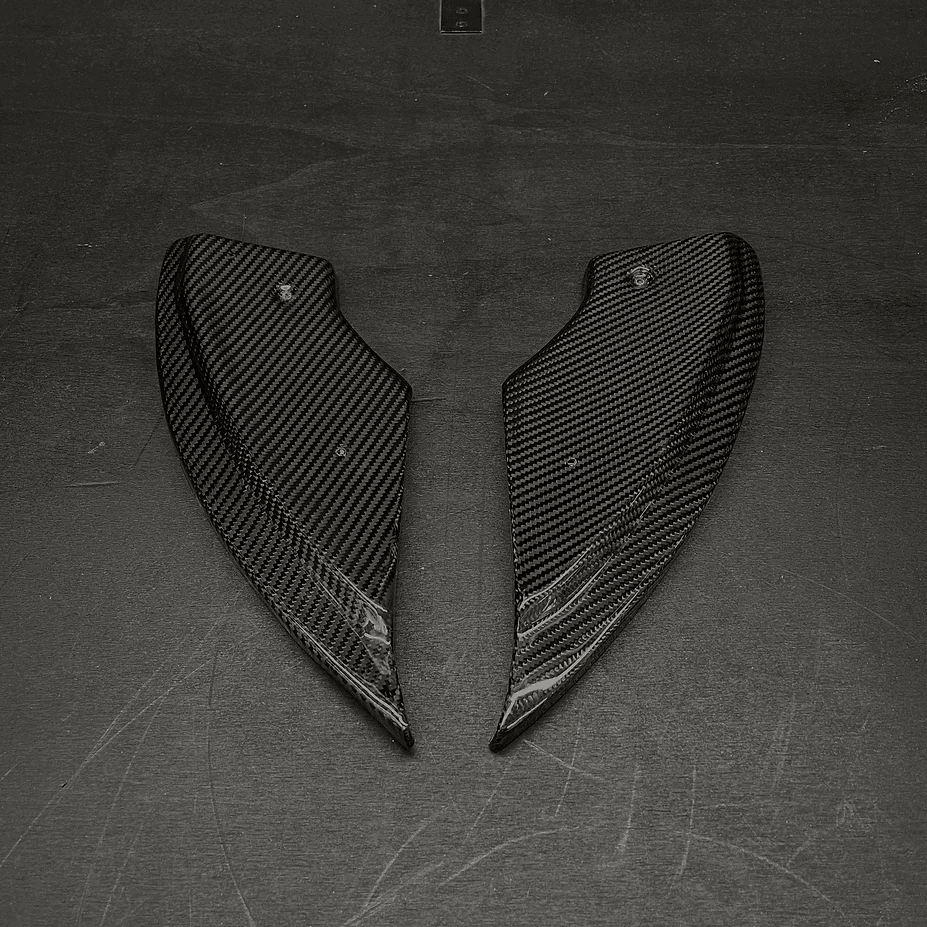 Rear Spats in Carbon Fiber - AUDI TT RS Pre FL 8S Mk3